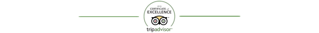 excellent service icon