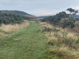 IMG_5320