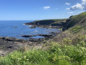 Cullernose Point Craster
