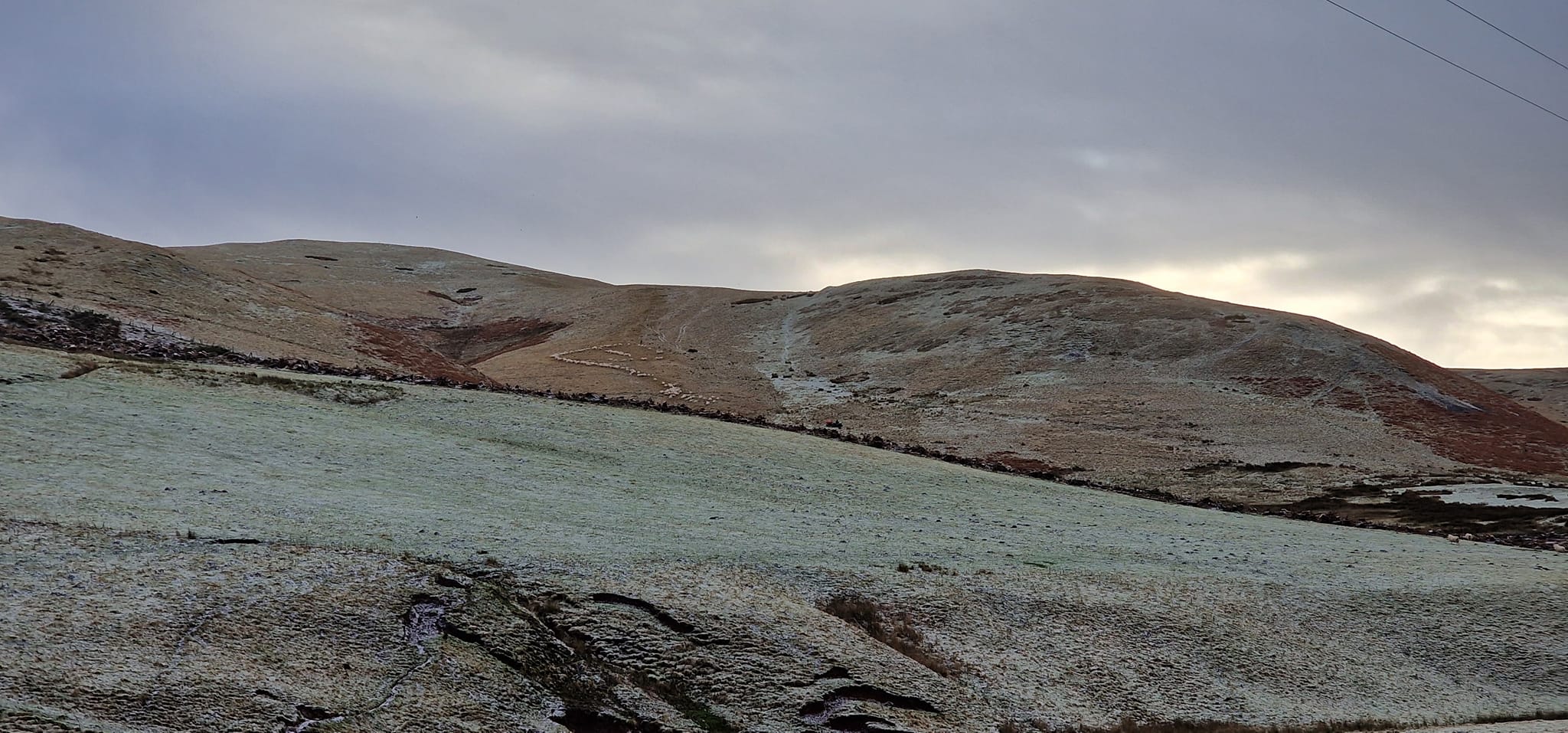 Cheviot Hills
