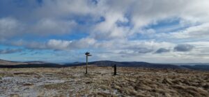 Cheviot tops