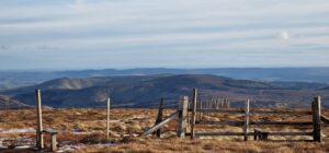 View from Cheviots