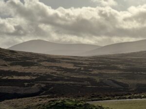 View of the Cheviot Hills