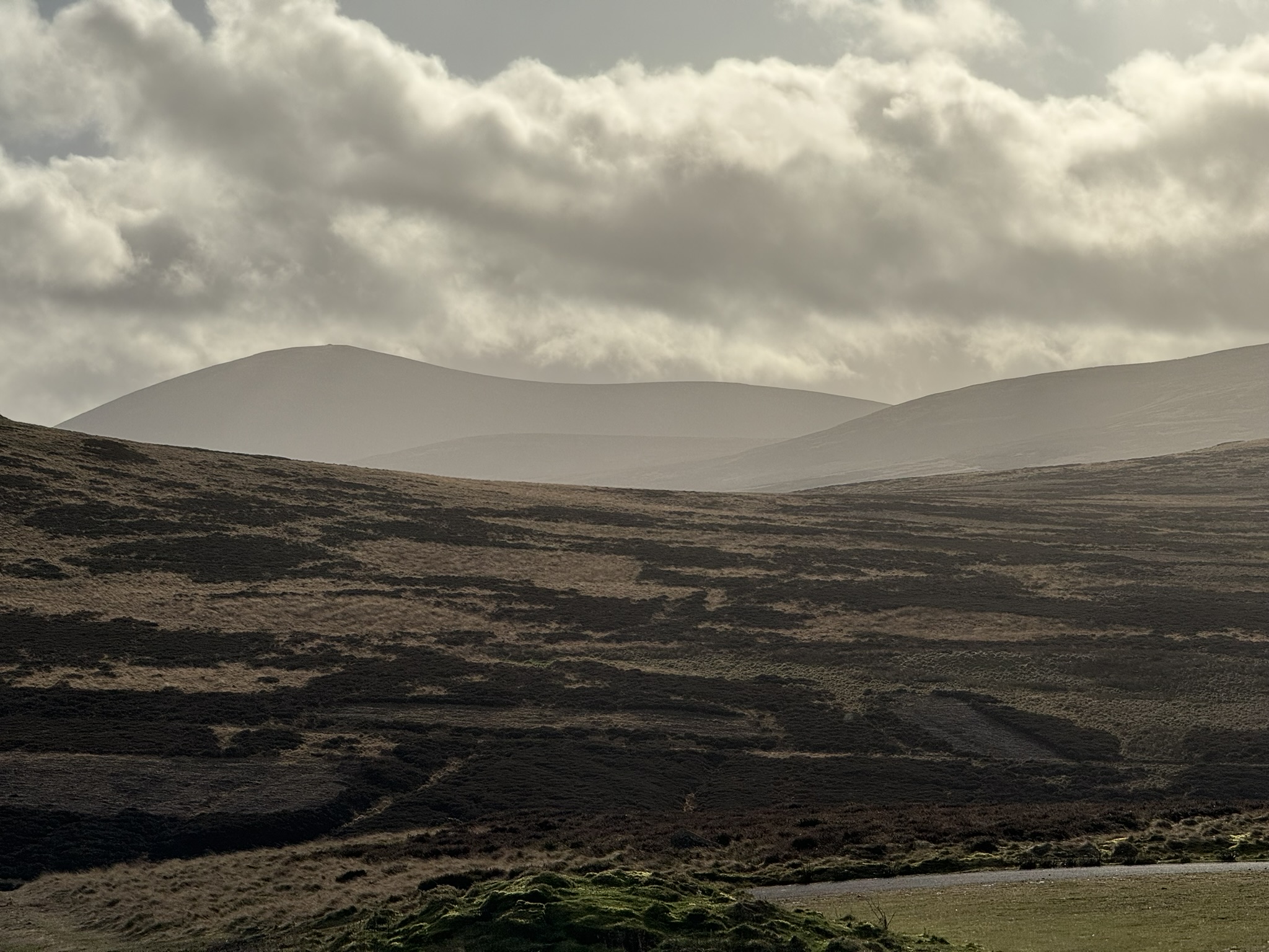 View of the Cheviot Hills
