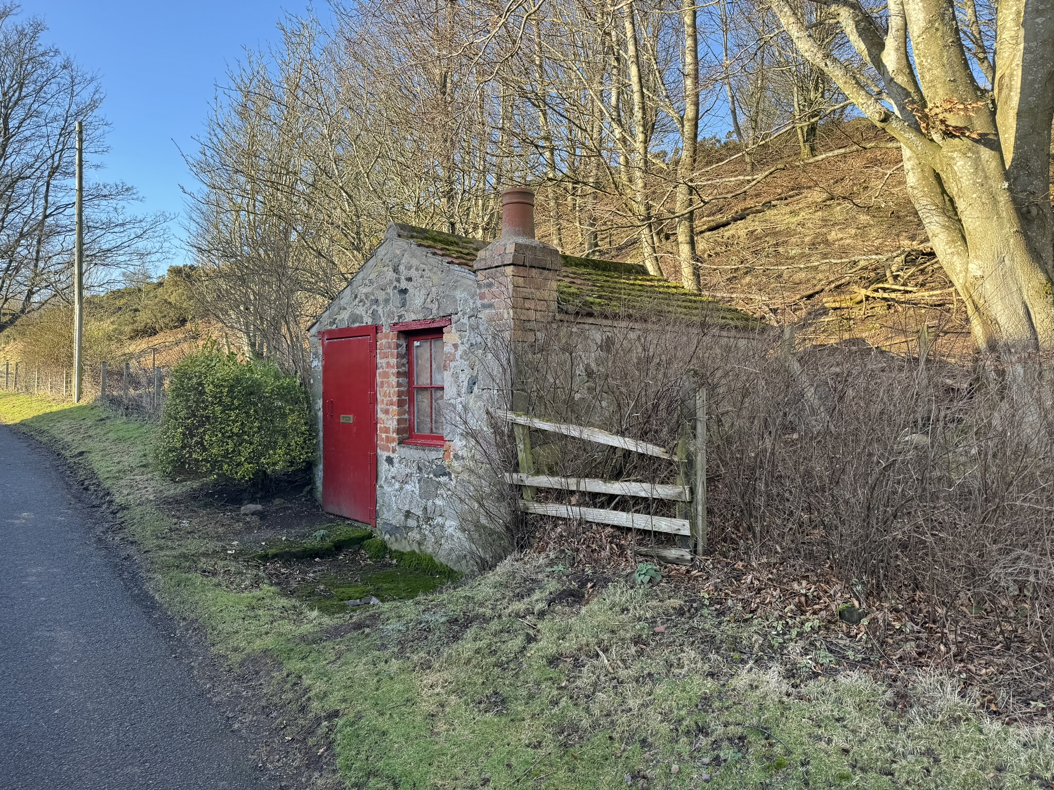 Tin roofed building